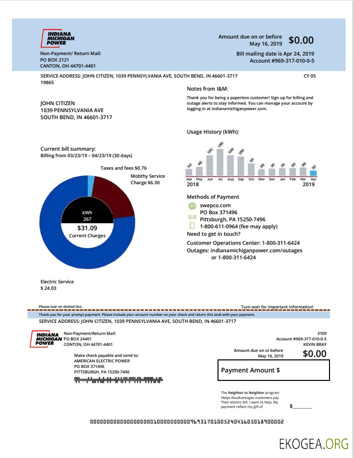USA Michigan electricity utility bill template in Word and PDF format